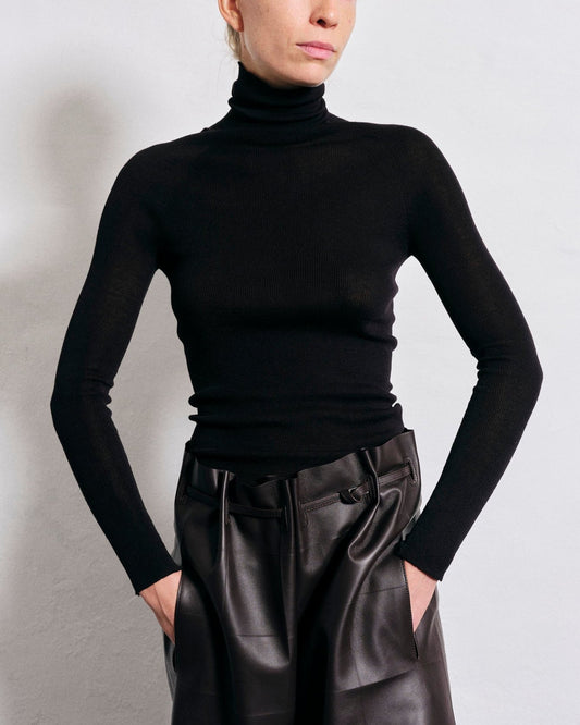 Extra Fine Merino Wool Turtleneck Sweater